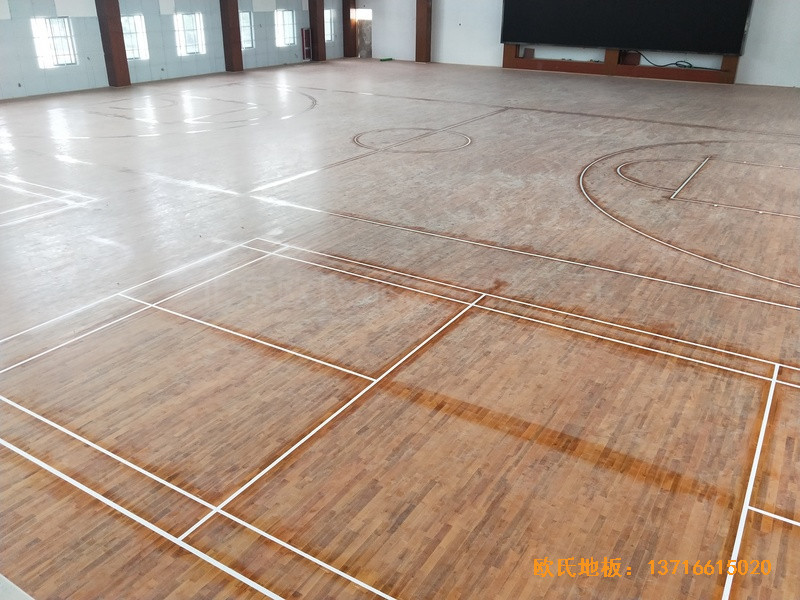 �������Ǹ��л@���^�\��ľ�ذ���O����3