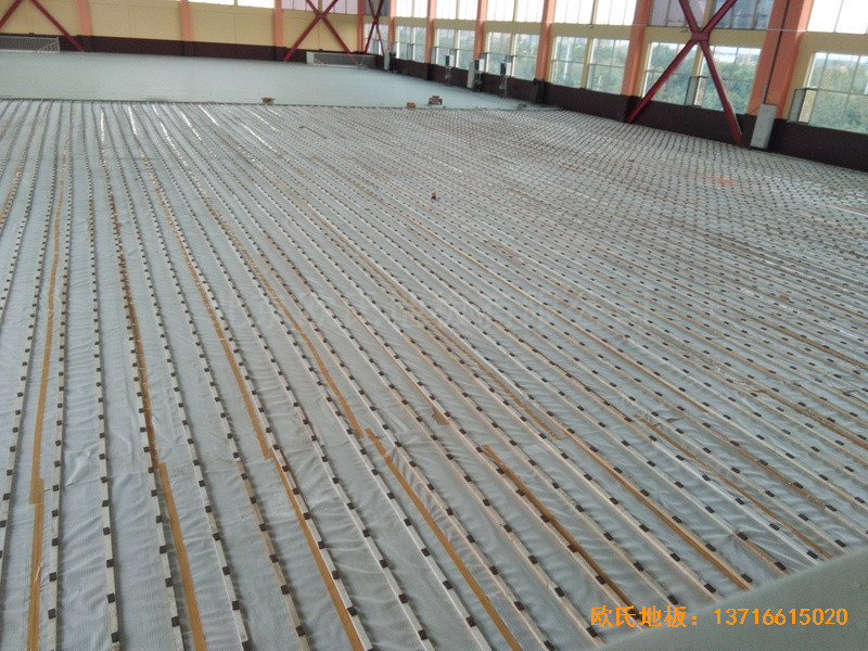 ɽ|(j)pZ(y)W(xu)У@^\(yn)(dng)ľذb1