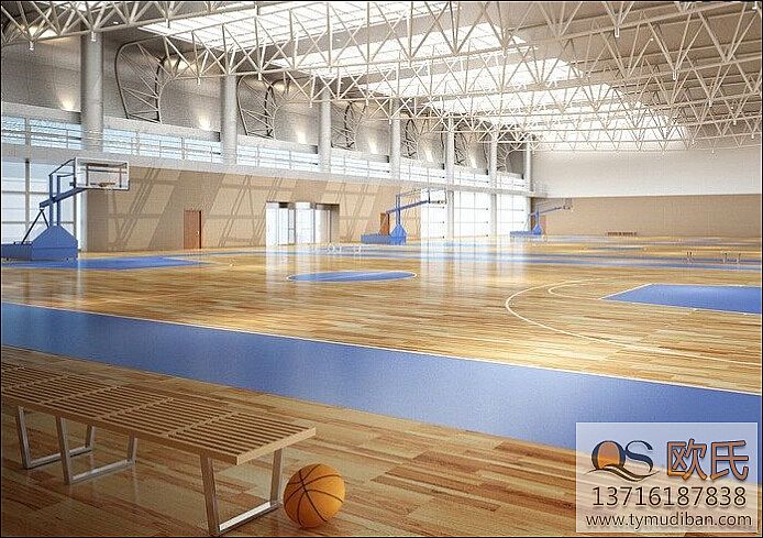 體育運(yùn)動(dòng)地板 體育運(yùn)動(dòng)地板