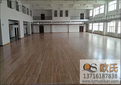 體育運(yùn)動地板 體育運(yùn)動地板