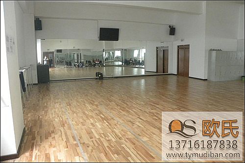 �Q���\�ӌ�ľ�ذ�r�������