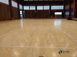 籃球地板哪家性價比高