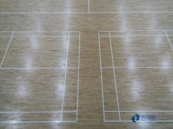 供應(yīng)運(yùn)動木地板怎么保養(yǎng)