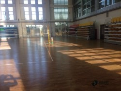 籃球體育木地板哪個牌子好