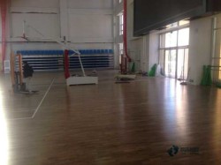 籃球體育木地板每平米價格