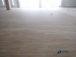 室內(nèi)運(yùn)動型地板施工團(tuán)隊(duì)